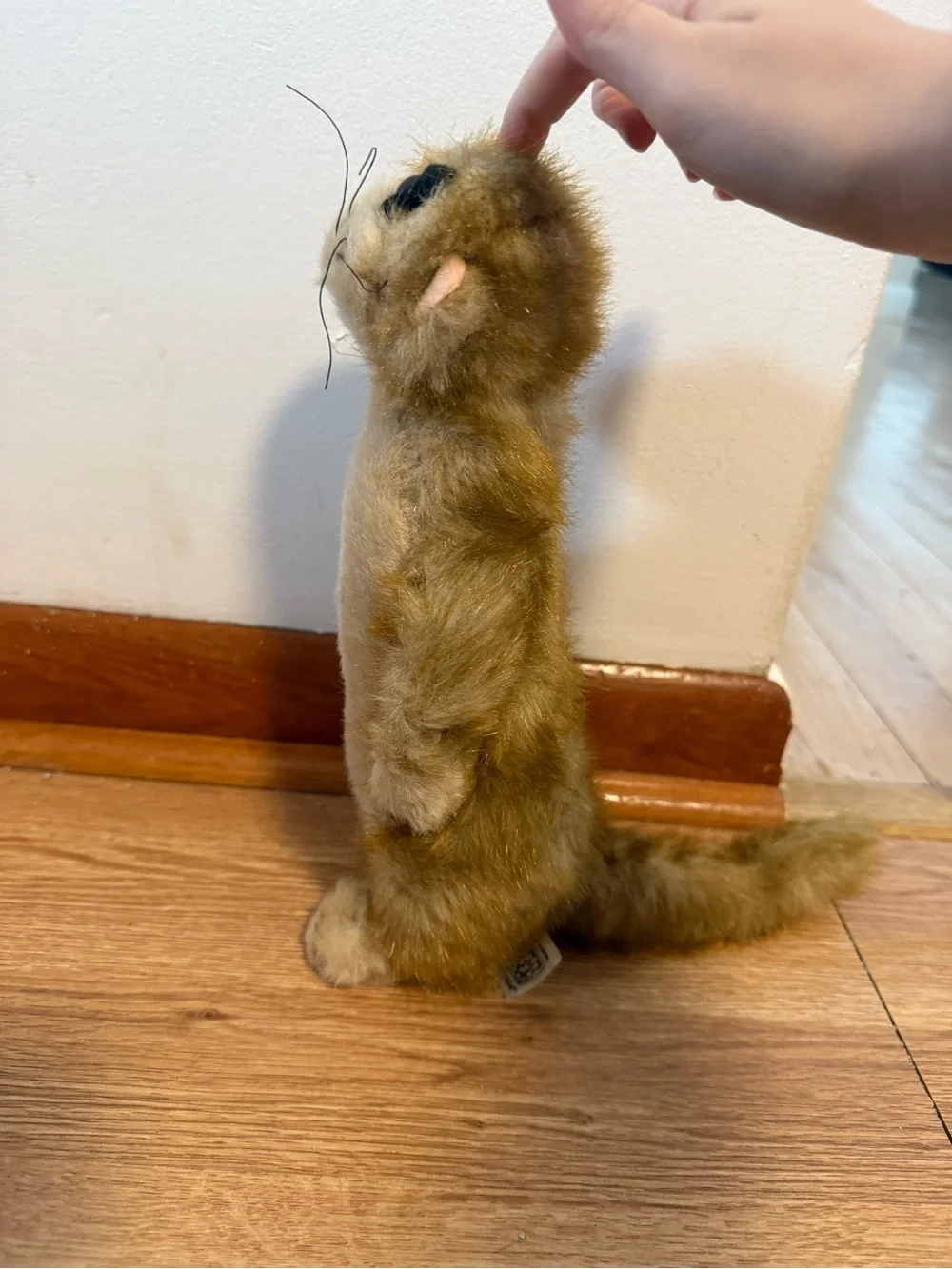 Fiesta Meerkat Realistic Plush WWF Stuffed Animal Adoption Promo 10.25